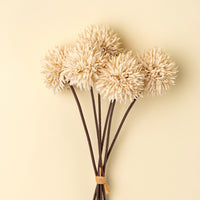 Mini Allium Bouquet Cream