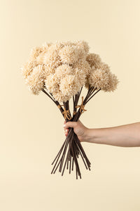 Mini Allium Bouquet Cream