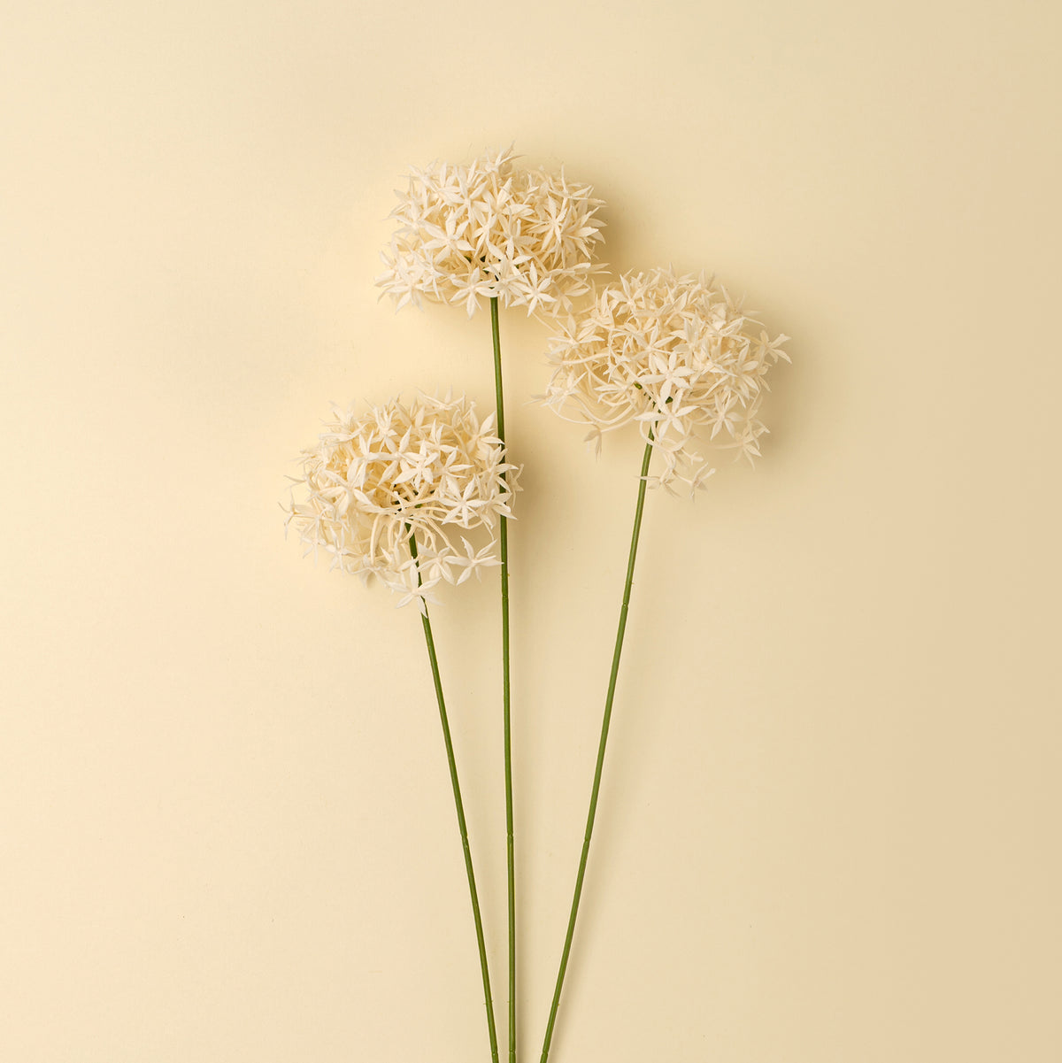 Allium Floral Spray Champagne