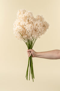 Allium Floral Spray Champagne