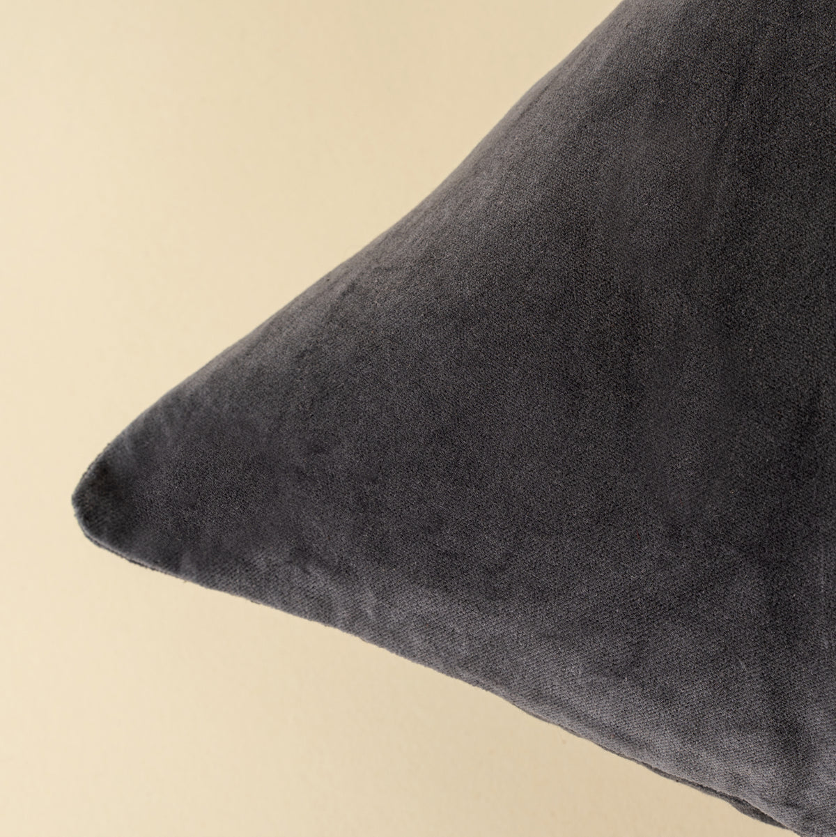 Vera Luxe Velvet Pillow