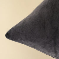 Vera Luxe Velvet Pillow
