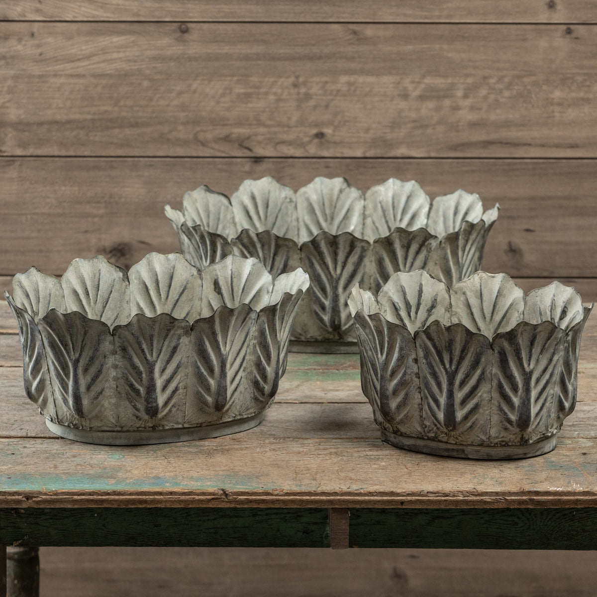 Galvanized Botanical Planter