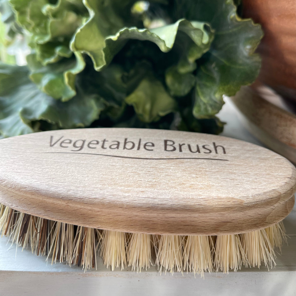 Vegetable Brush