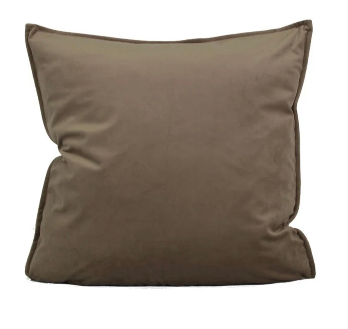 Velvet Throw Cushion