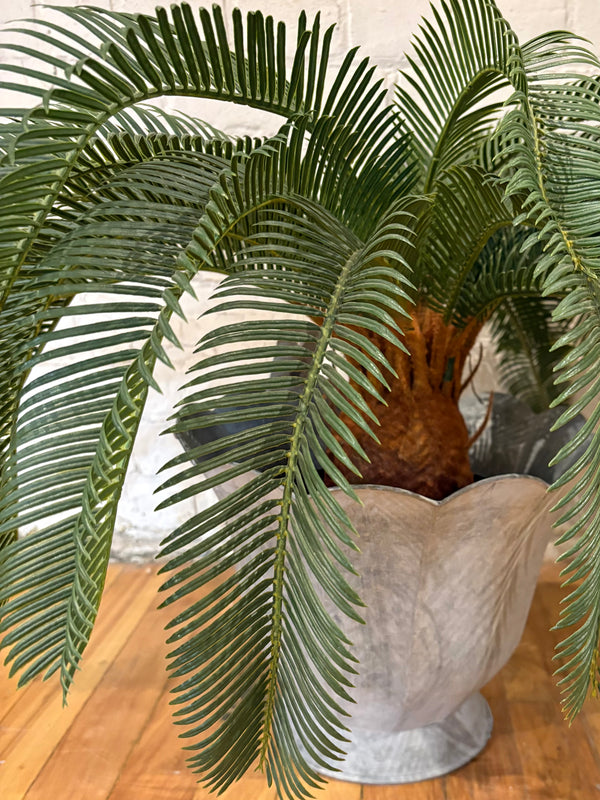 Galvanized Scalloped Pot