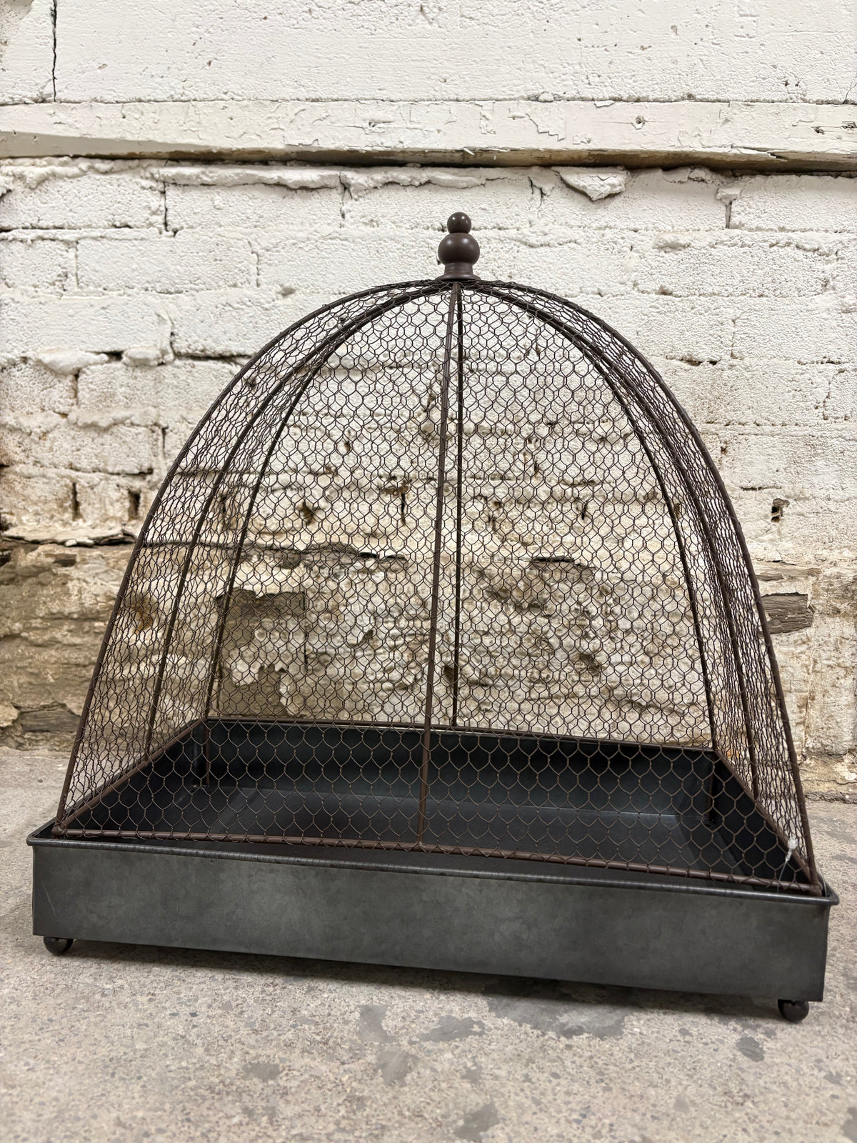Wire Cloche