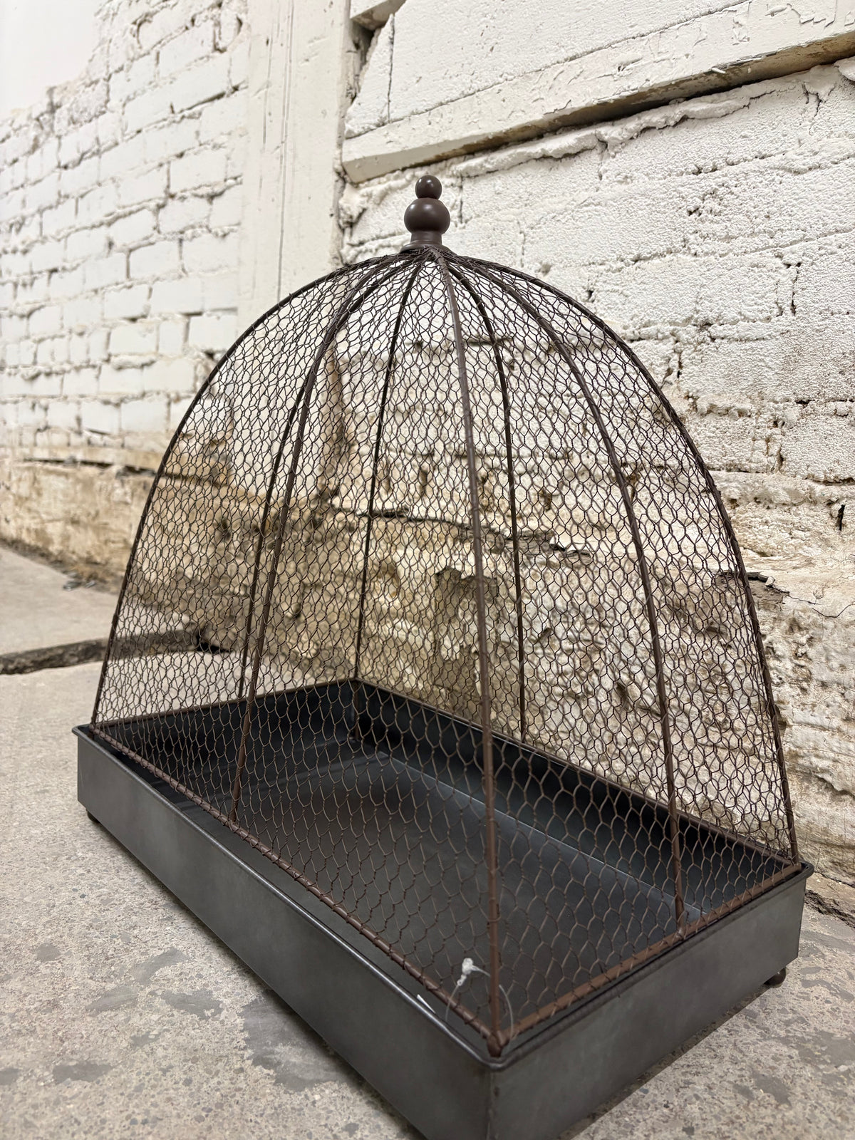 Wire Cloche