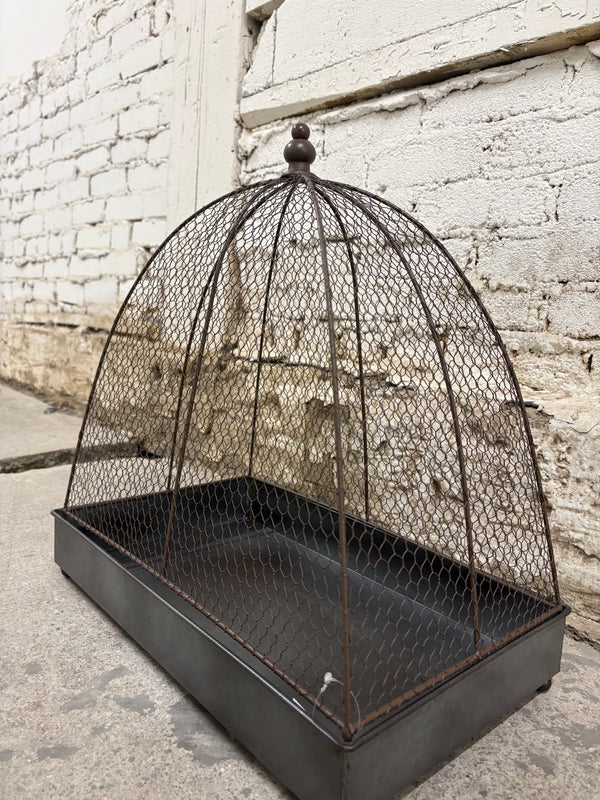Wire Cloche